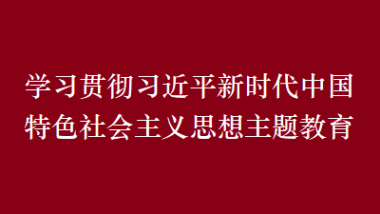 學(xué)習(xí)貫徹習(xí)近平新時(shí)代中國(guó)特色社會(huì)主義思想主題教育